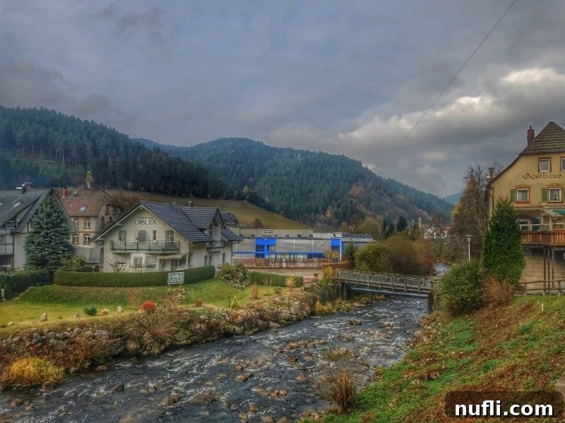A serene river winds between quaint houses and rolling hills in the picturesque Black Forest region of Germany.
