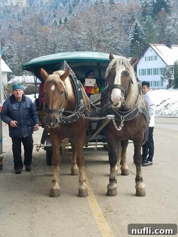 A charming horse-drawn carriage makes its way along a snowy path, heading towards a distant castle.