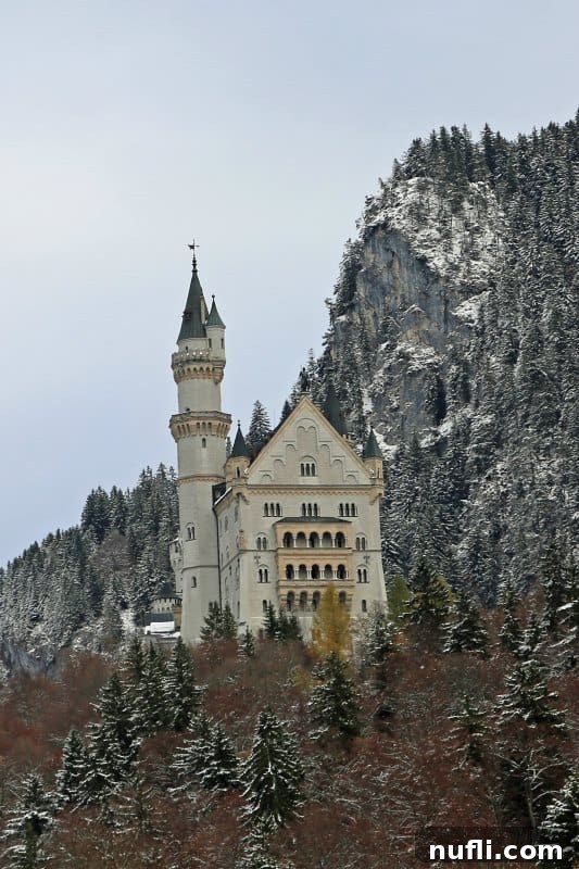 Neuschwanstein Castle, a grand fortress, sits majestically on a snow-covered hill, surrounded by winter trees.