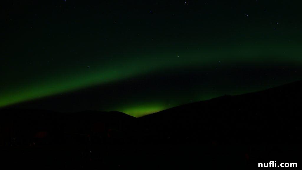 Vivid green Northern Lights illuminate the Alaskan night sky