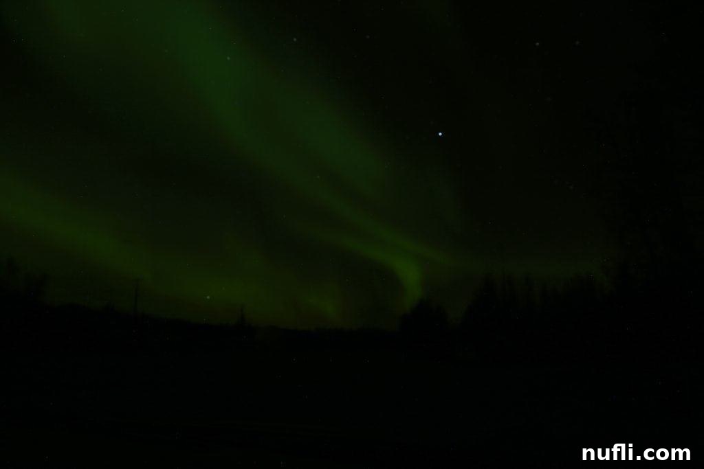 Green Aurora Borealis streaks across the dark sky in Fairbanks, Alaska