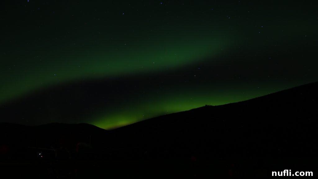 Green Northern Lights create an arch over snow-covered trees in Alaska