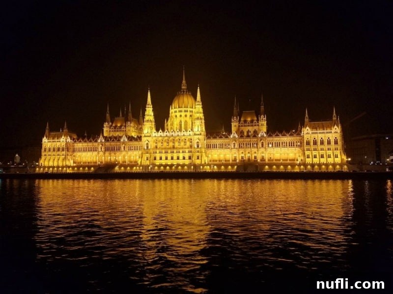Budapest parliment building lit up at night 