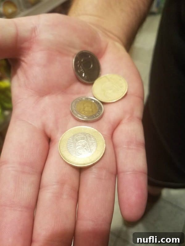 hand holding euro coins 