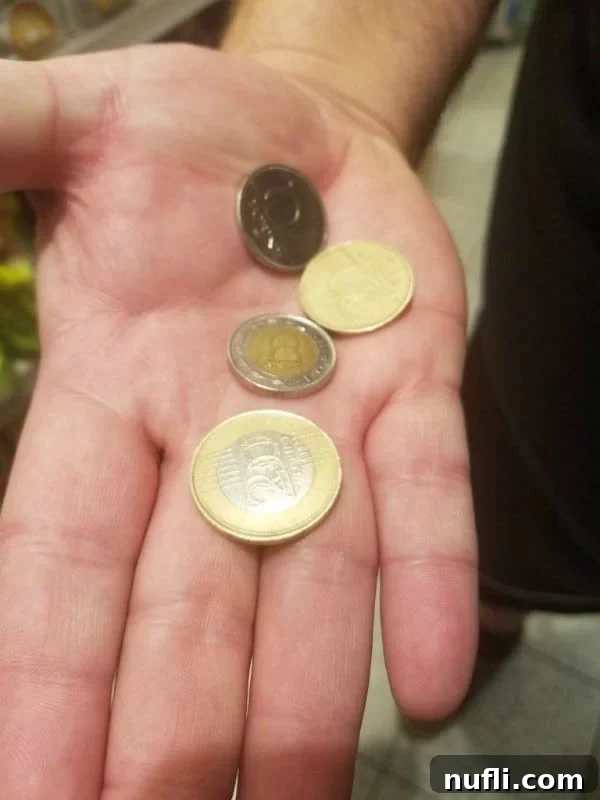 Hand holding Euro coins, ready for spending or currency exchange