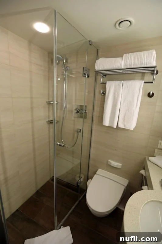 The Viking Vili River Cruise Ship: An Inside Look 5 Walk-in shower next to a toilet at sink with towels on a rack on the wall