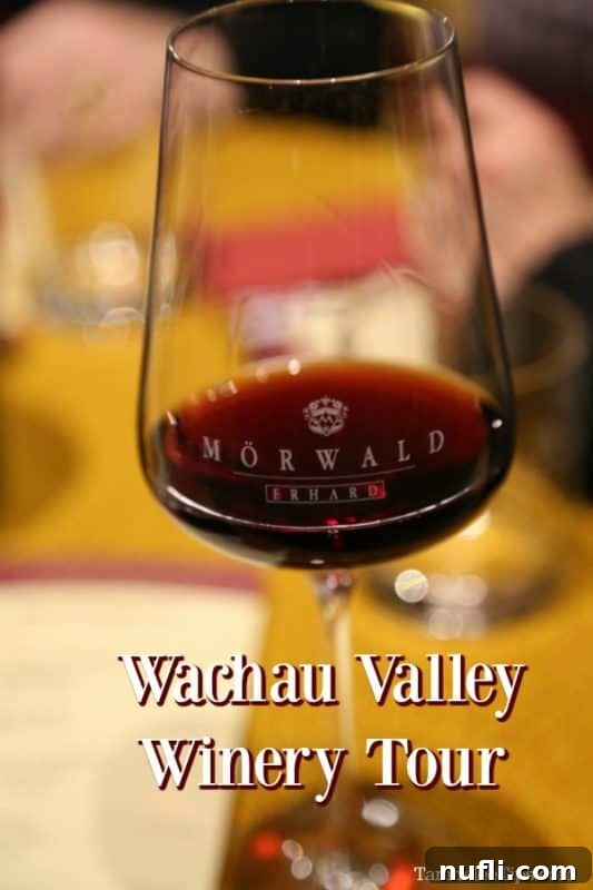 Savor Wachau Valley Wines A Viking River Cruise Excursion 2 Wacchau Valley Winery Tour under a Morwald Wine glass