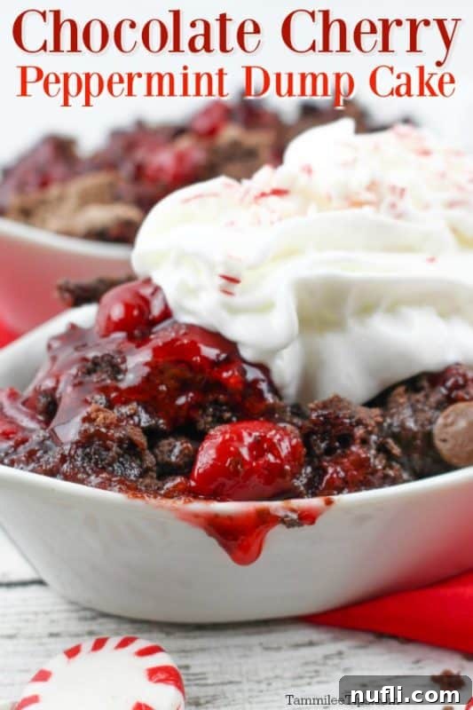A delectable slice of Chocolate Peppermint Cherry Dump Cake, topped with generous swirls of whipped cream and crushed peppermint pieces, ready to be enjoyed.