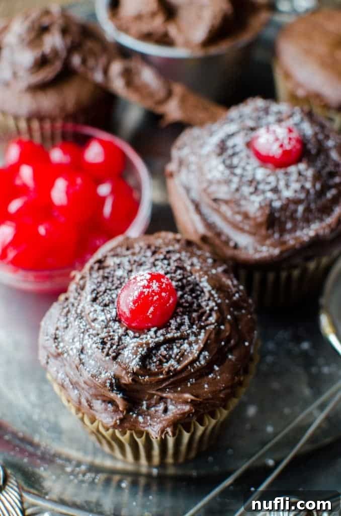 Bake Irresistible Black Forest Cupcakes 4 A close-up shot of a perfectly baked Black Forest cupcake, topped with rich chocolate icing and a bright red maraschino cherry, ready to be enjoyed.
