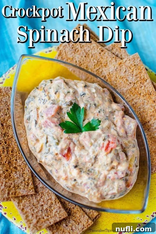 Crockpot Mexican Spinach Dip over a bowl of dip with crackers on either side 