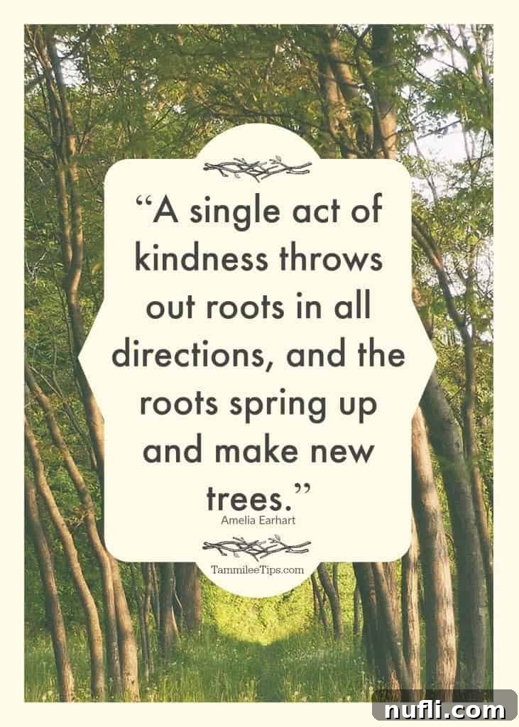 Quote by Amelia Earhart about a single act of kindness