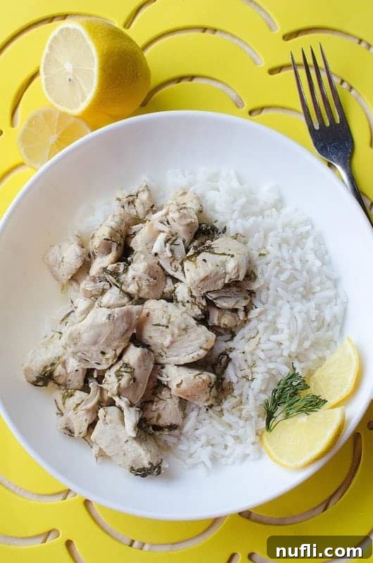 a white plate with chicken, rice, and lemon slices next to a fork and lemon pieces