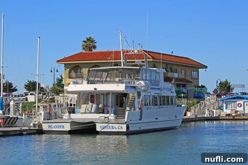 Channel Islands National Park Wildlife Expedition with Island Packers 11 An Island Packers tour boat, the Islander, docked serenely at Ventura Harbor, ready for its next Channel Islands adventure.