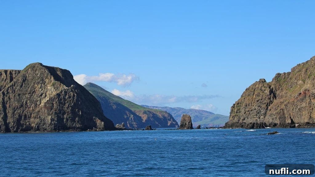 Channel Islands National Park Wildlife Expedition with Island Packers 16 The serene and undeveloped coastline of Channel Islands as seen from the tranquil waters, highlighting its natural beauty and isolation.