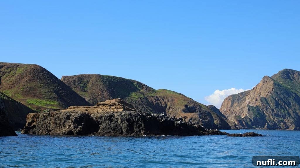 Channel Islands National Park Wildlife Expedition with Island Packers 6 The rugged coastline of Channel Islands National Park, specifically Anacapa Island, as seen from the tranquil ocean waters under a clear blue sky.