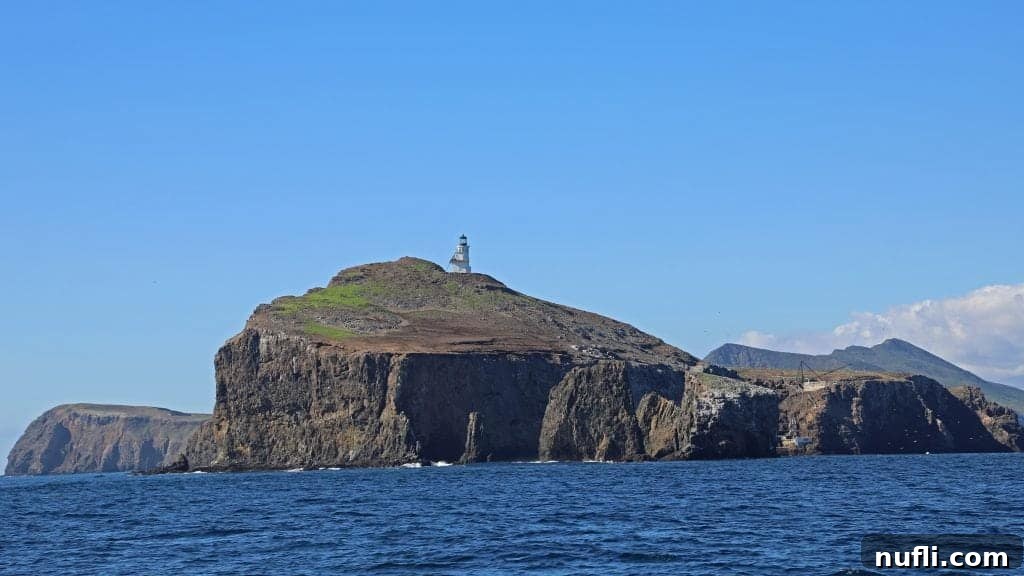 Channel Islands National Park Wildlife Expedition with Island Packers 7 The iconic lighthouse of Anacapa Island standing proudly atop its cliffs, viewed across the sparkling water of Channel Islands National Park.