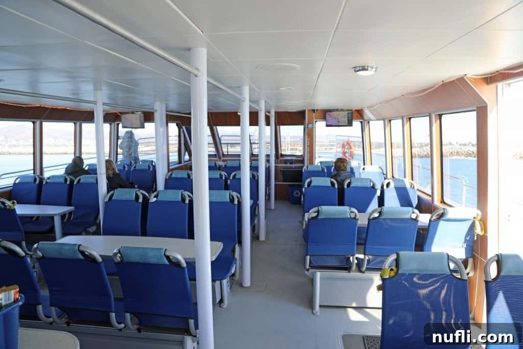 Channel Islands National Park Wildlife Expedition with Island Packers 9 Comfortable indoor seating area of an Island Packers tour boat, offering a cozy retreat during the Channel Islands cruise.