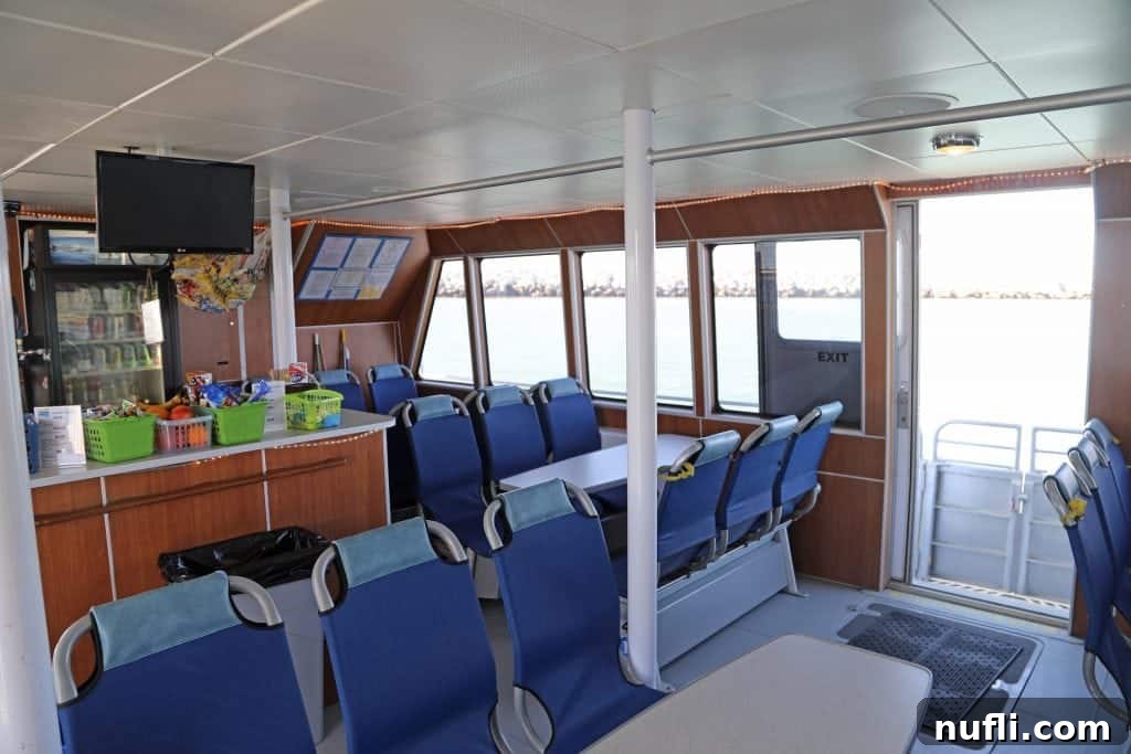 Channel Islands National Park Wildlife Expedition with Island Packers 10 Spacious and clean interior seating on an Island Packers Tour Boat, designed for passenger comfort during the wildlife cruise.