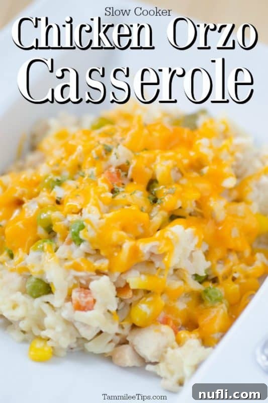 slow cooker chicken orzo casserole over a white plate filled with casserole