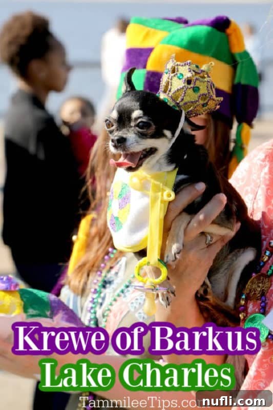 Krewe of Barkus Lake Charles below a dog dressed in mardi gras gear