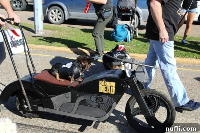 barking dead motorcyle with a dog riding on it 