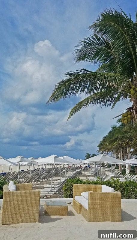 Rows of lounge chairs and white umbrellas neatly lined up by palm trees on Balmoral Island