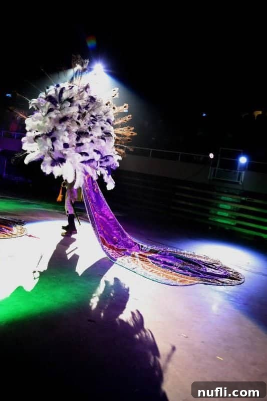 purple and white mardi gras outfit