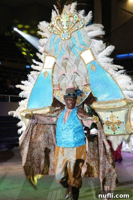 mman wearing a large mardi gras outfit 