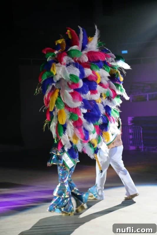 multi color feather head dress