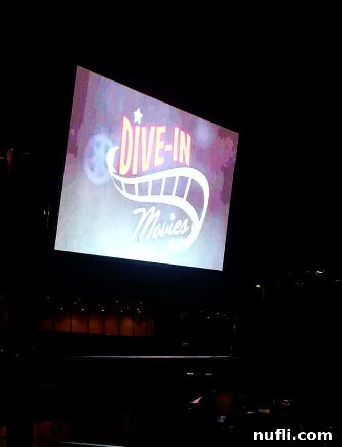 Introvert's Paradise: Navigating Cruise Ships with Inner Peace 3 dive in movies on a large screen