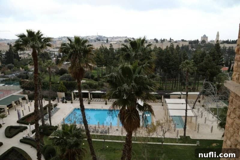 Outdoor pool surrounded by palm trees with Jerusalem in the background 