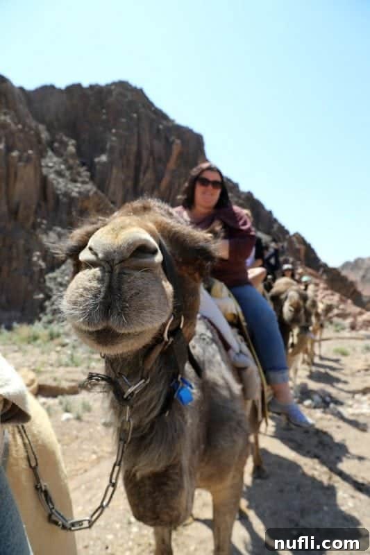 Tammilee riding a camel