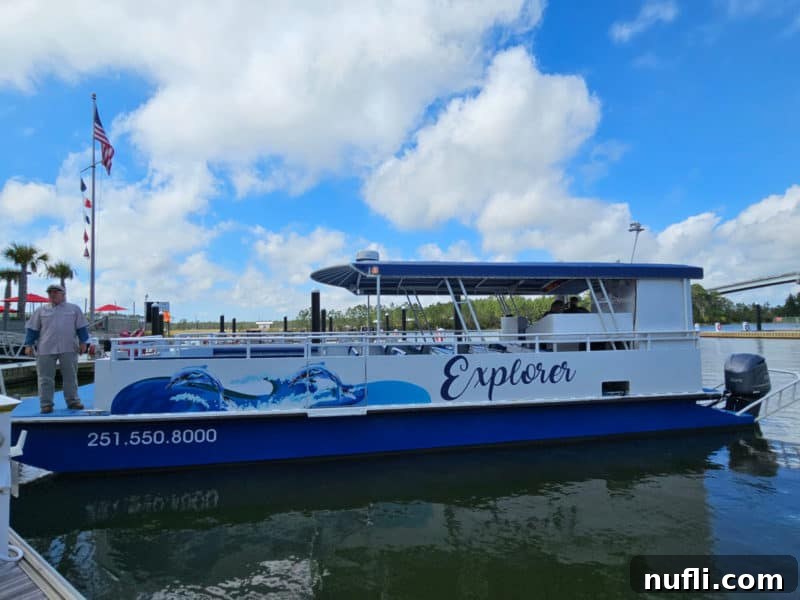 Best Things to Do in Orange Beach and Gulf Shores Alabama 20 The Explorer Dolphin Cruise Boat gracefully navigates the water under a sky filled with soft clouds, promising adventure.