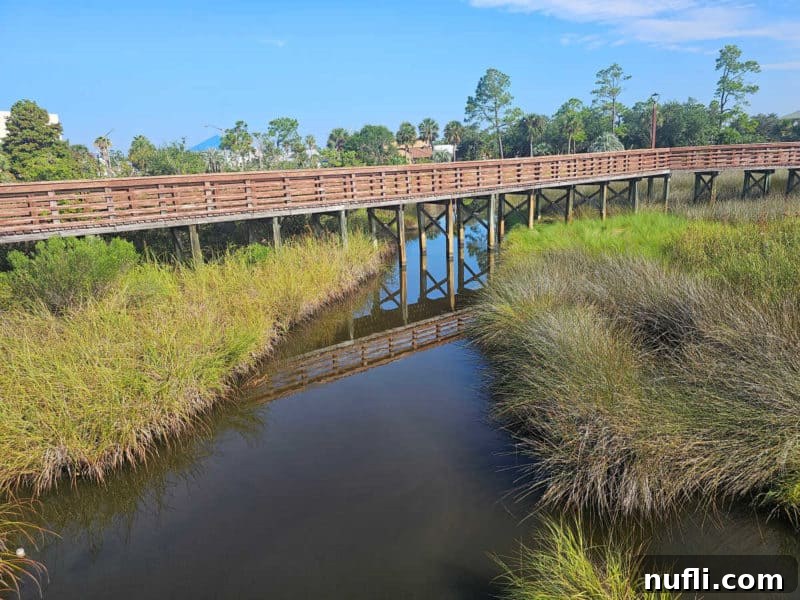 Best Things to Do in Orange Beach and Gulf Shores Alabama 22 A charming wooden boardwalk gracefully extends over water and lush green grasses, offering a peaceful path through nature.