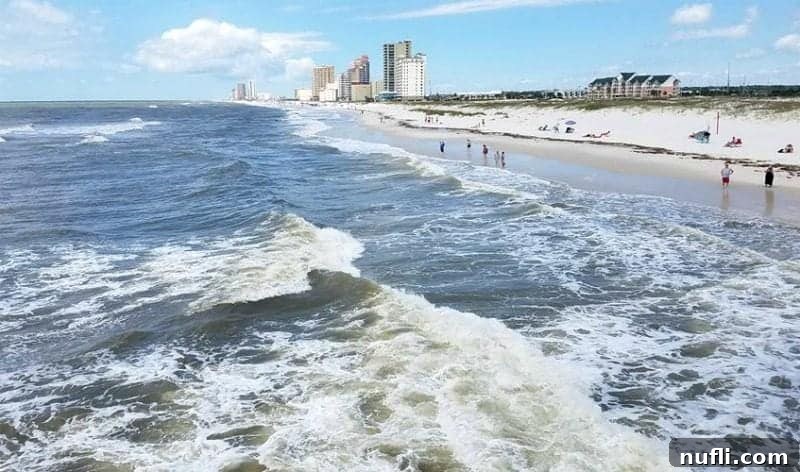 Best Things to Do in Orange Beach and Gulf Shores Alabama 5 A picturesque view of the Gulf of Mexico, featuring people enjoying the white sand beach and the backdrop of large, modern buildings.