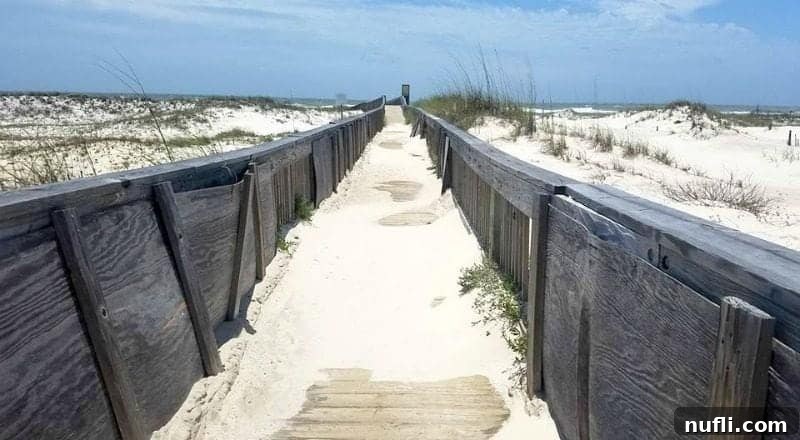 Best Things to Do in Orange Beach and Gulf Shores Alabama 6 A serene, sand-covered walkway winding through lush sand dunes, leading towards the glistening waters of the Gulf Shores beach.