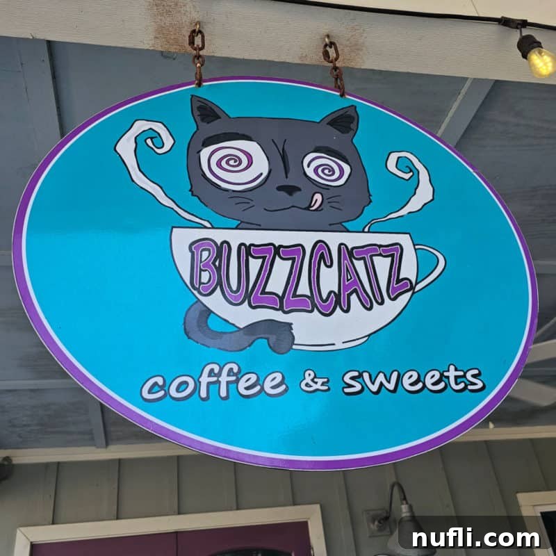 Orange Beach and Gulf Shores Must Try Restaurants 33 BuzzCatz entrance sign with a cat and coffee mug