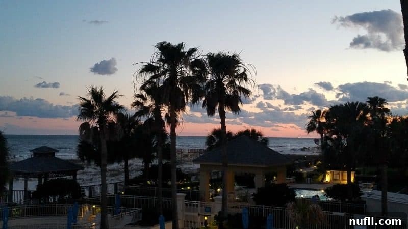 Orange Beach and Gulf Shores Must Try Restaurants 59 sunset over palm trees and the beach