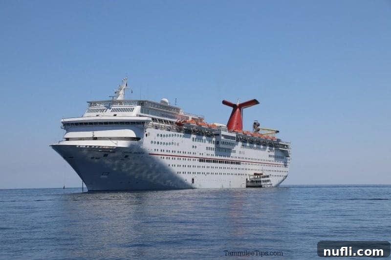 A large Carnival Cruise ship anchored off Catalina Island, with a smaller tender boat approaching the shore