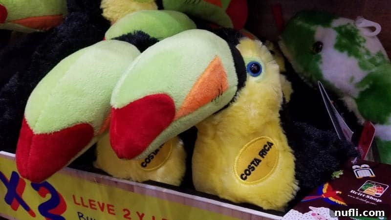 Two vibrant toucan stuffed animals in a tropical-themed box, symbolizing Costa Rica's iconic birdlife and the expectation of spotting these beautiful creatures.