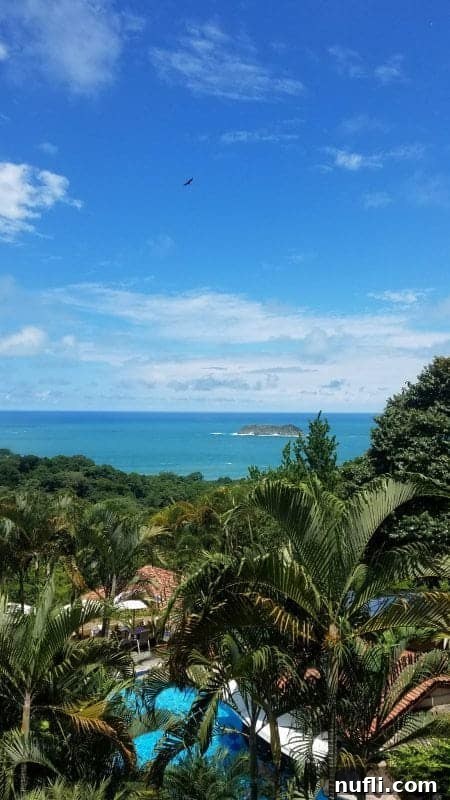 Panoramic view of lush green palm trees stretching towards the sparkling Pacific Ocean under a clear sky in Costa Rica, showcasing the country's breathtaking coastal beauty.