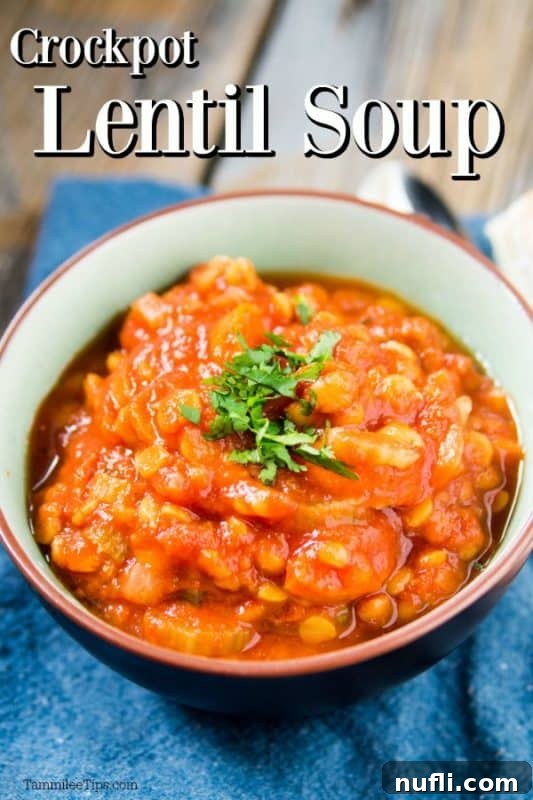 A steaming bowl of vibrant slow cooker vegan lentil soup, garnished with fresh herbs, resting on a rustic cloth napkin.