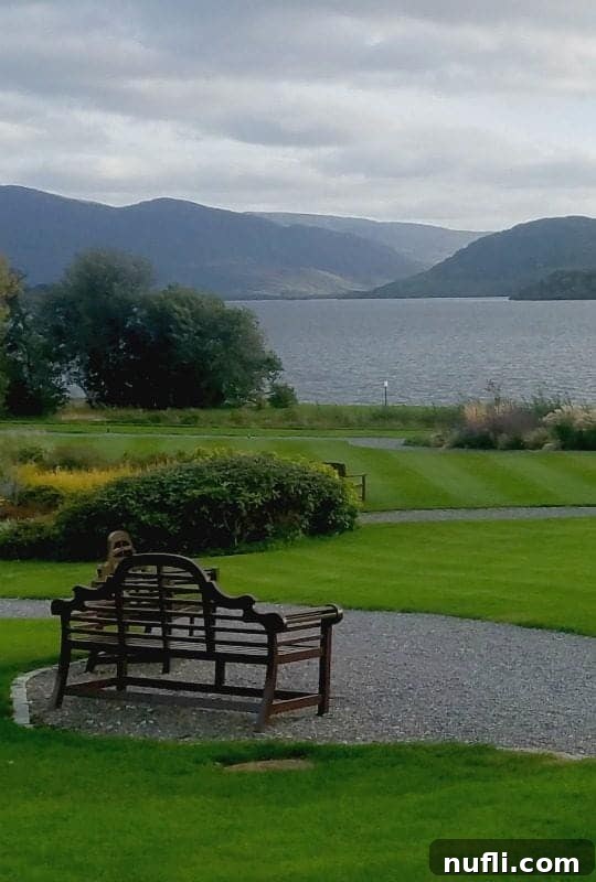 Lakeside Elegance in Killarney: The Europe Hotel 12 Picturesque bench perfectly positioned to offer expansive views over the manicured lawns and the tranquil lake at The Europe Hotel Killarney.