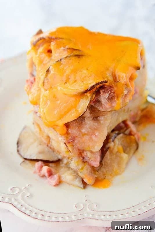 scalloped potatoes and ham dish on a white plate