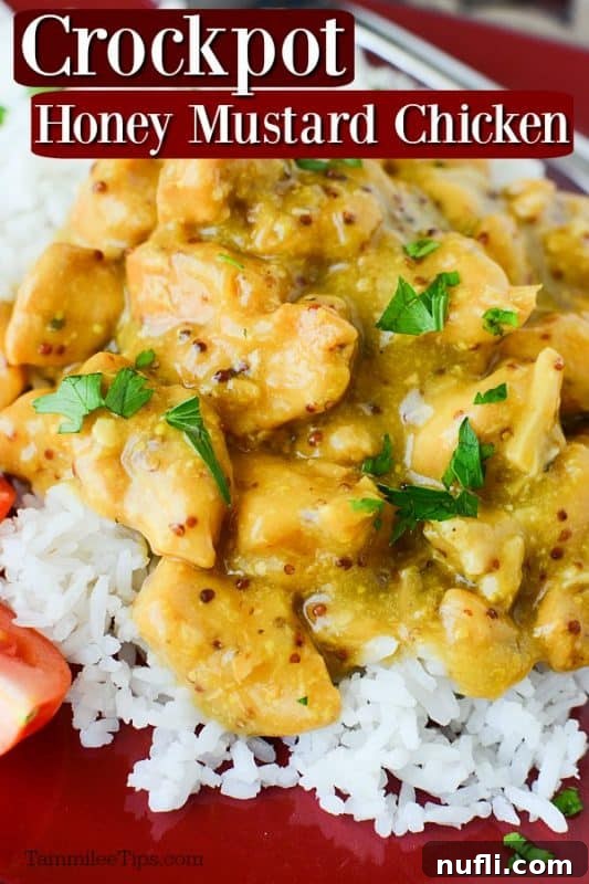 Succulent Crockpot Honey Mustard Chicken served over fluffy white rice on a vibrant red plate, garnished beautifully.