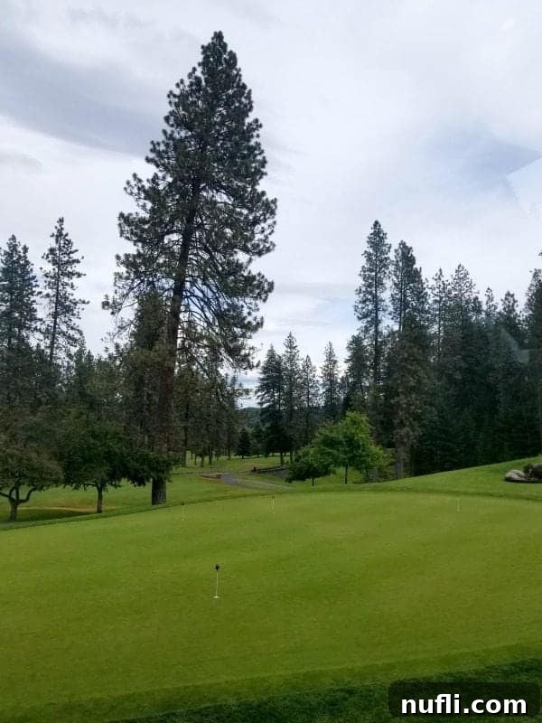 Spokane Washington Adventures Your Ultimate Guide 8 golf course with tall trees