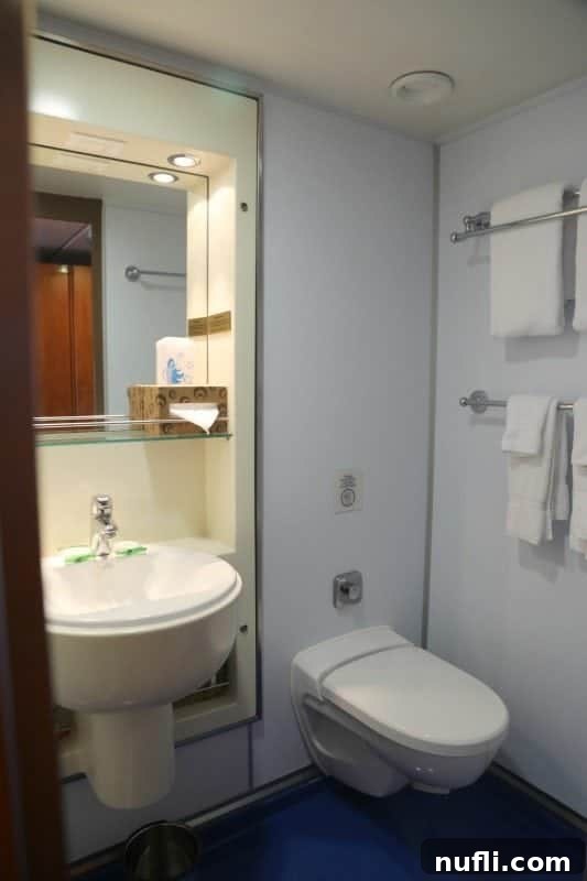 Clean and compact bathroom in a Carnival Imagination stateroom.