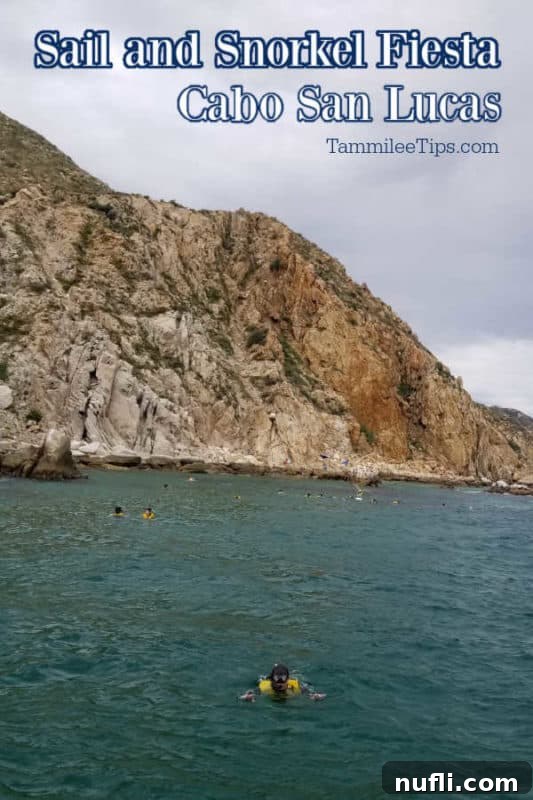 Cabo San Lucas Sail and Snorkel Bash 2 People enjoying the Sail and Snorkel Fiesta in Cabo San Lucas, with one person snorkeling in the water surrounded by tropical fish.