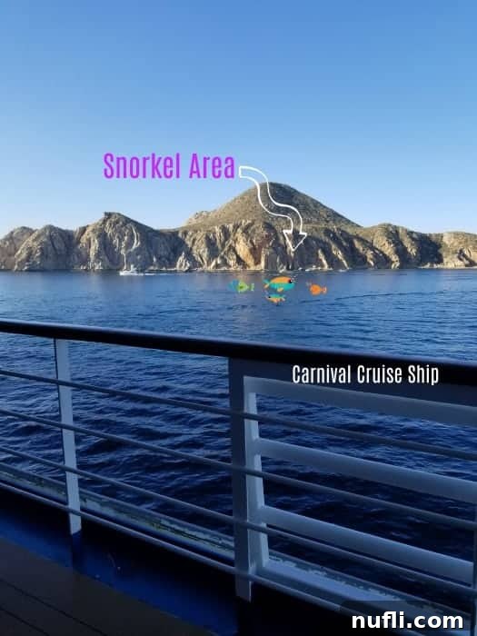 Cabo San Lucas Sail and Snorkel Bash 3 A Carnival cruise ship anchored in the bay with a designated snorkeling area marked by arrows near rock formations in Cabo San Lucas.