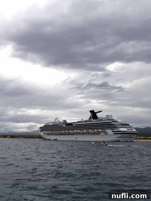 Cabo San Lucas Sail and Snorkel Bash 8 A large Carnival cruise ship sailing on a cloudy day off the coast of Cabo San Lucas, showcasing the vastness of the ocean.